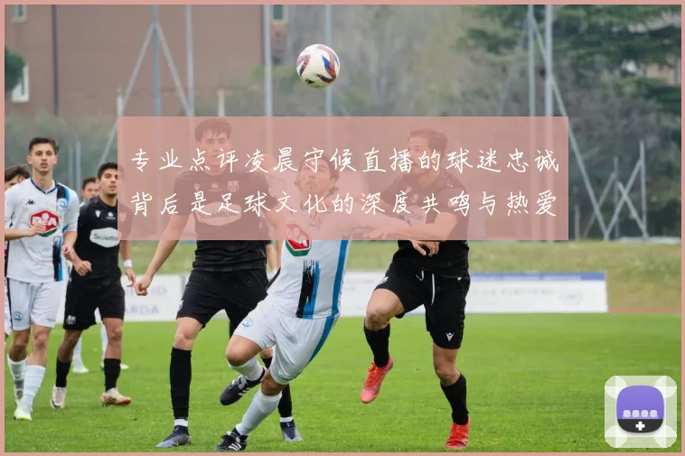 专业点评凌晨守候直播的球迷忠诚背后是足球文化的深度共鸣与热爱坚守