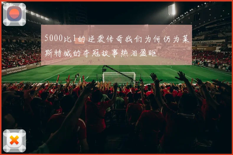 5000比1的逆袭传奇我们为何仍为莱斯特城的夺冠故事热泪盈眶