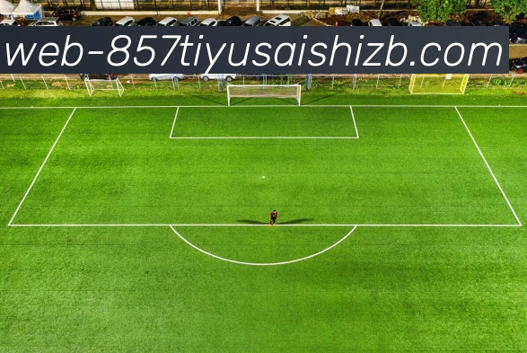 季后赛边缘观察教练调度与球星成色将成最后冲刺决定性因素